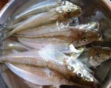 魚の干物作り方2写真
