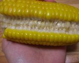 ムダがない！きれい！とうもろこしの食べ方作り方1写真