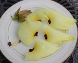 花オクラの生ハム巻き作り方3写真