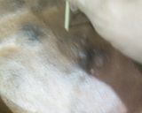 Baked Cheese Cake.作り方35写真