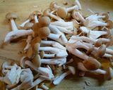 ワインに合う、きのこのオリーブオイル蒸し作り方6写真