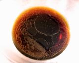 簡単！ポン酢でナスのマリネ作り方1写真