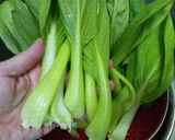 付け合せに最高！冷たいチンゲン菜作り方1写真