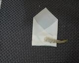 エビフライ春巻作り方10写真