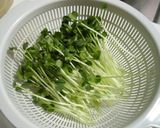 もやし＆ゴボウのさっぱり中華サラダ作り方4写真