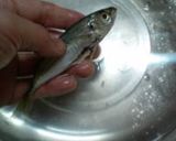 豆あじの南蛮漬け作り方3写真