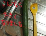 余った野菜処理①　キュウリの冷製スープ作り方1写真