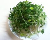 豚肉＆豆苗＆野菜たっぷりレンジ蒸し作り方1写真