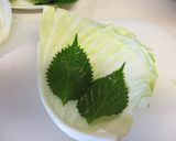 コツは切り方！キャベツと大葉のサラダ作り方2写真