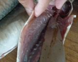 アジの干物作り方5写真