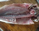 アジの干物作り方7写真
