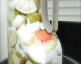 断食成功はこれのお陰！酵素ジュース作り方5写真