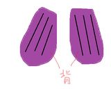 レンジで作る！簡単蒸しナス作り方1写真