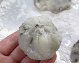 塩こんぶ大福作り方10写真