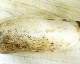 さっぱりこくっと蓮根の梅マヨぽん和え作り方1写真
