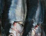 秋刀魚バーガー作り方2写真