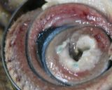 秋刀魚バーガー作り方15写真