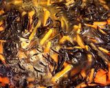 ひじきの煮物。作り方4写真