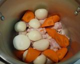 ✿美肌♪手羽元コラーゲンたっぷりカレー✿作り方1写真