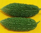 カリカリゴーヤチップス♪お菓子？つまみ？作り方7写真