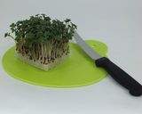 ブロッコリースプラウトのパンケーキ作り方1写真