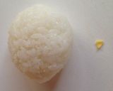簡単遠足キャラ弁☆仮面ライダーウィザード作り方1写真