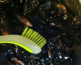 活ムール貝の濃厚クリームワイン蒸し作り方2写真