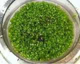 あると便利☆紫蘇の実の醤油漬け作り方5写真