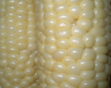 ★とうもろこしを甘く茹でよう作り方7写真