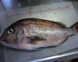 鯛の旨みがたっぷり「鯛めし」作り方1写真