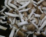 鶏としめじを焦がし醤油作り方15写真