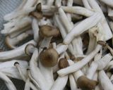 鶏としめじを焦がし醤油作り方8写真
