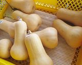 バターナッツ南瓜のサラダ作り方1写真