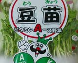 冬★豆苗と手羽元の美肌鍋★作り方3写真