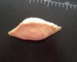 アボカド入り♪焼きキーマカレーパン♡HB作り方6写真