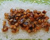 ご飯シートで簡単ライスサンド（押し寿司）作り方2写真