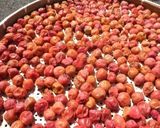 梅干し(10%)・減塩作り方18写真