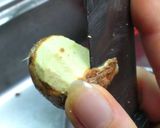 秋の味覚☆栗おこわ作り方5写真