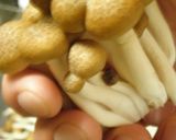 ピリィ!辛野菜炒め作り方1写真