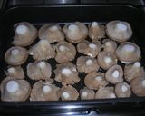 エリンギのオーブン焼き♪作り方3写真