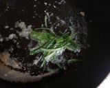 焼くだけ簡単♪塩麹まぐろ作り方4写真