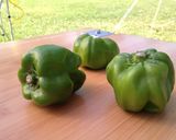 神楽南蛮 de 甘辛みそ。作り方3写真