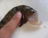 ～エビの下処理の仕方～作り方1写真