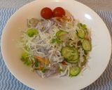 パパの野菜ミックスカルパッチョ作り方6写真