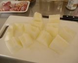 ぜんぜんたいへんじゃない冬瓜鶏肉塩麹煮作り方1写真