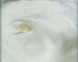 卵使い切り★炊飯器de簡単ｼﾌｫﾝｹｰｷ作り方2写真