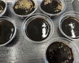 時短コーヒーゼリー　作り方4写真