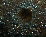 栄養満点。さつま芋のカリカリ揚げ作り方5写真