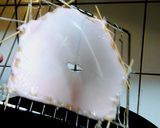 中華☆　フライパンで作れる北京ダック作り方3写真
