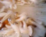 マロニー入り鶏団子汁作り方4写真